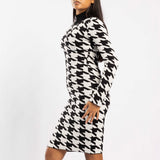 BLACK/WHITE LONG SLEEVE TURTLENECK DRESS