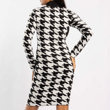 BLACK/WHITE LONG SLEEVE TURTLENECK DRESS