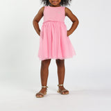 Pink Knit/Mesh Dress