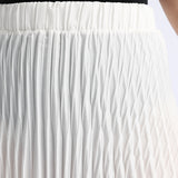Pleated Skirt