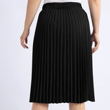 Pleated Skirt