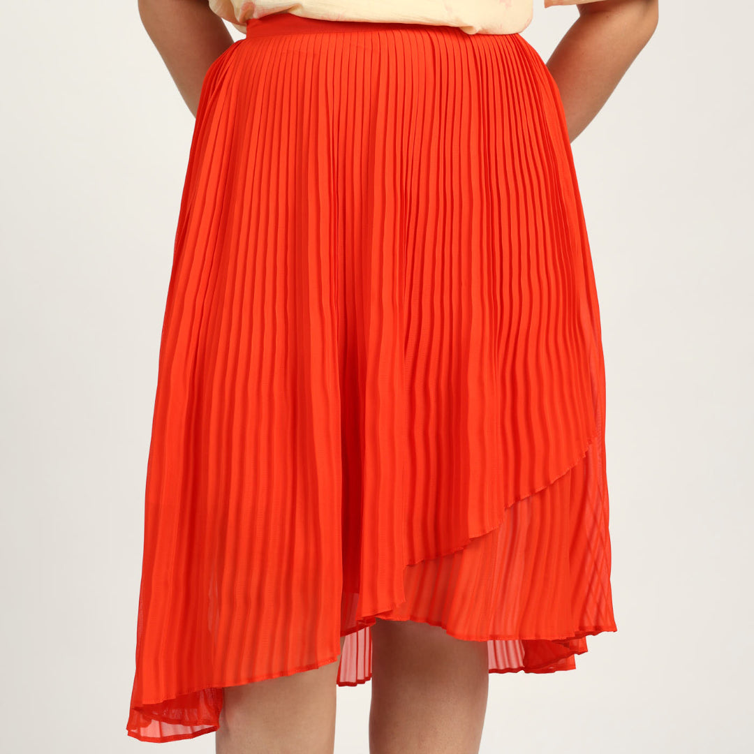 Pleated Skirt