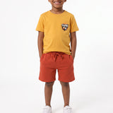 TRB PRE BOYS 3PK SHORTS